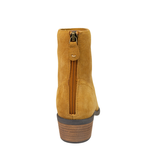 HOMESTEAD in CAMEL, back view