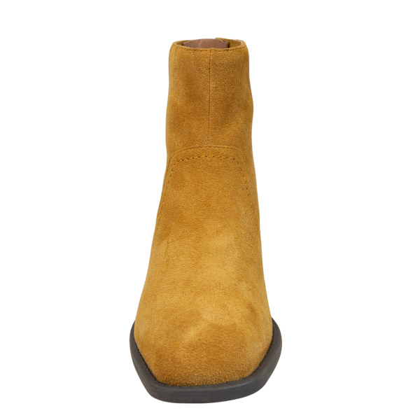 HOMESTEAD in CAMEL, front view