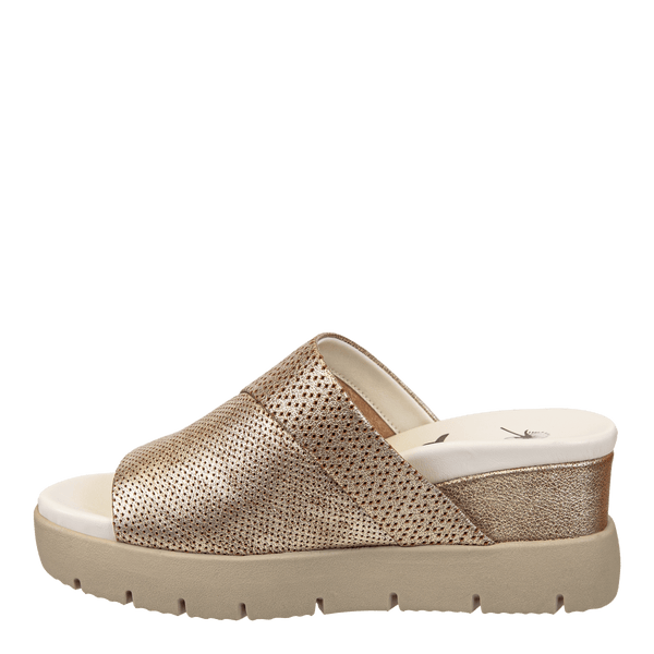 NORM in GOLD Wedge Sandals